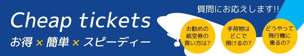 ANA（全日空）航空券