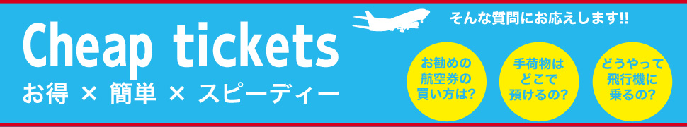 fujidream航空券