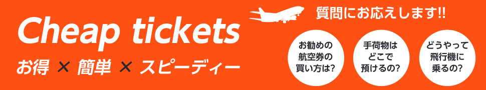 fujidream航空券