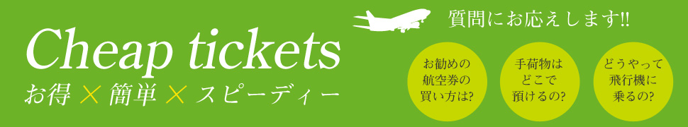fujidream航空券