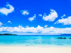 成田那覇最安値